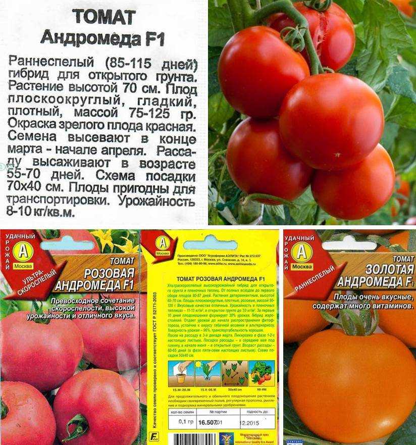 Томат искра пламени: характеристика и описание сорта, отзывы тех кто сажал помидоры об их урожайности, фото растения