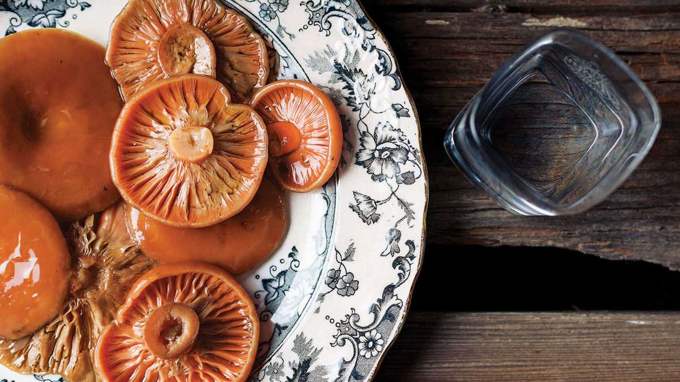 Рецепты приготовления маринованных рыжиков на зиму в домашних условиях. кулинарные секреты, как мариновать грибы рыжики на зиму в банках – самый вкусный и простой пошаговый рецепт