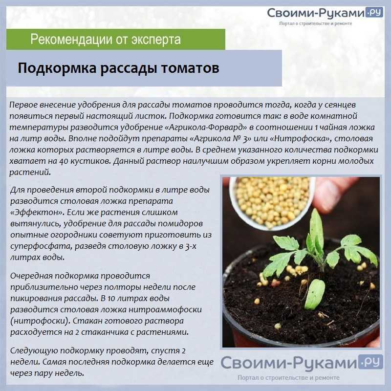 Азофоска: применение удобрения на огороде для картофеля, помидор