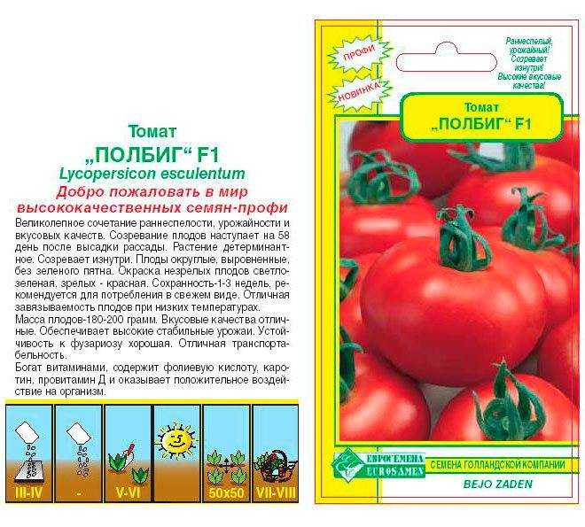 Томат семейный f1: отзывы об урожайности помидоров, характеристика и описание сорта, видео и фото куста в высоту