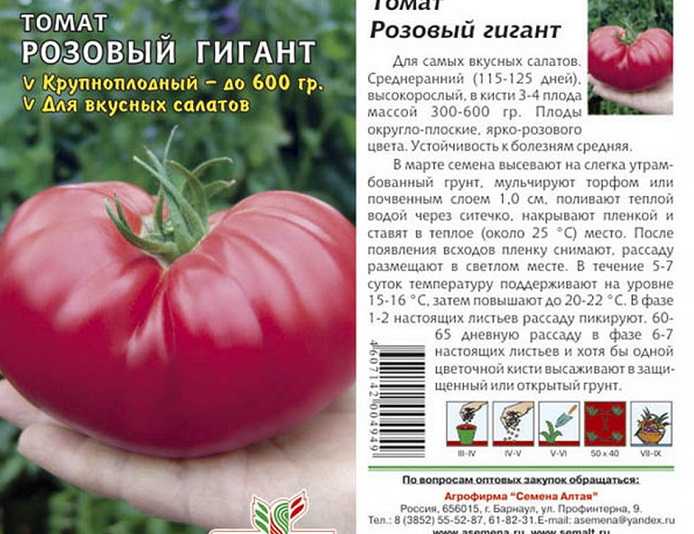 Сорт томатов царь колокол — описание, посадка и уход