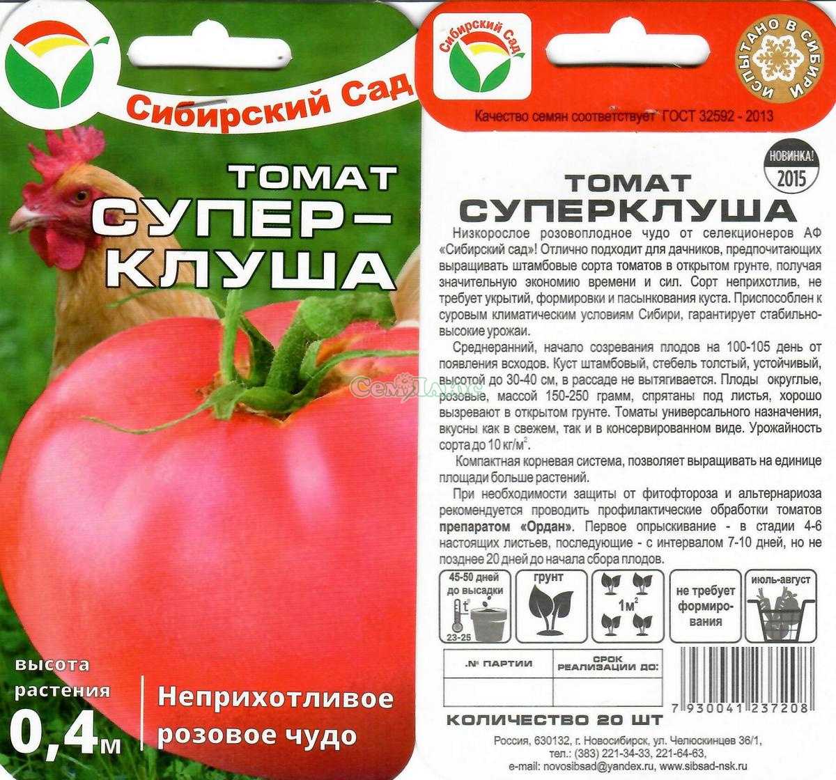 Урожайный биф-томат малиновый великан. описание особенностей сорта и рекомендации по выращиванию