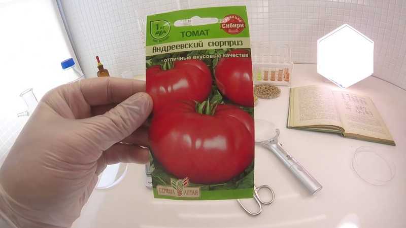 Комнатные томаты — сорта
