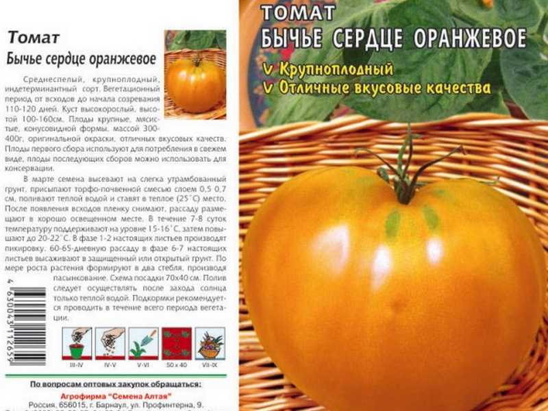 Сорт «оранжевая клубника»: характеристика и описание томата