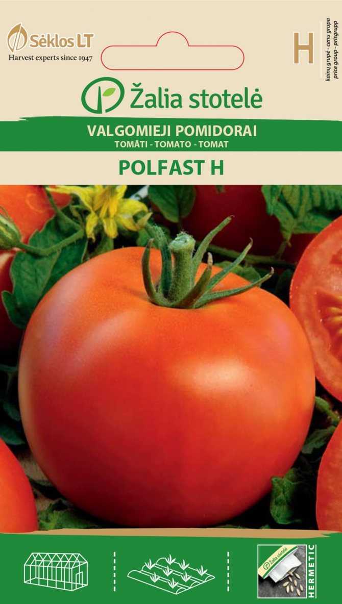 Томат полфаст: описание и характеристика, отзывы, фото, урожайность | tomatland.ru