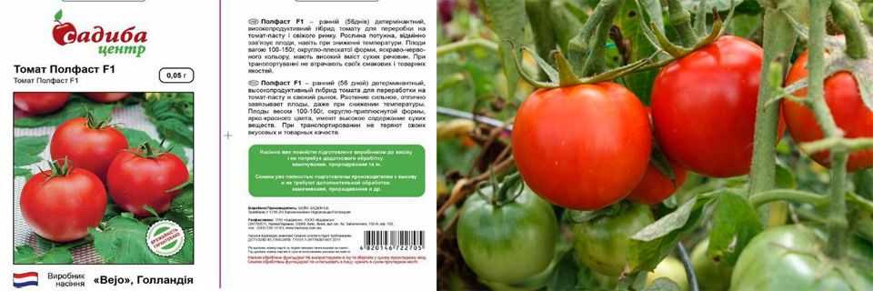Томат полфаст f1: характеристика и описание сорта, отзывы, фото куста, урожайность