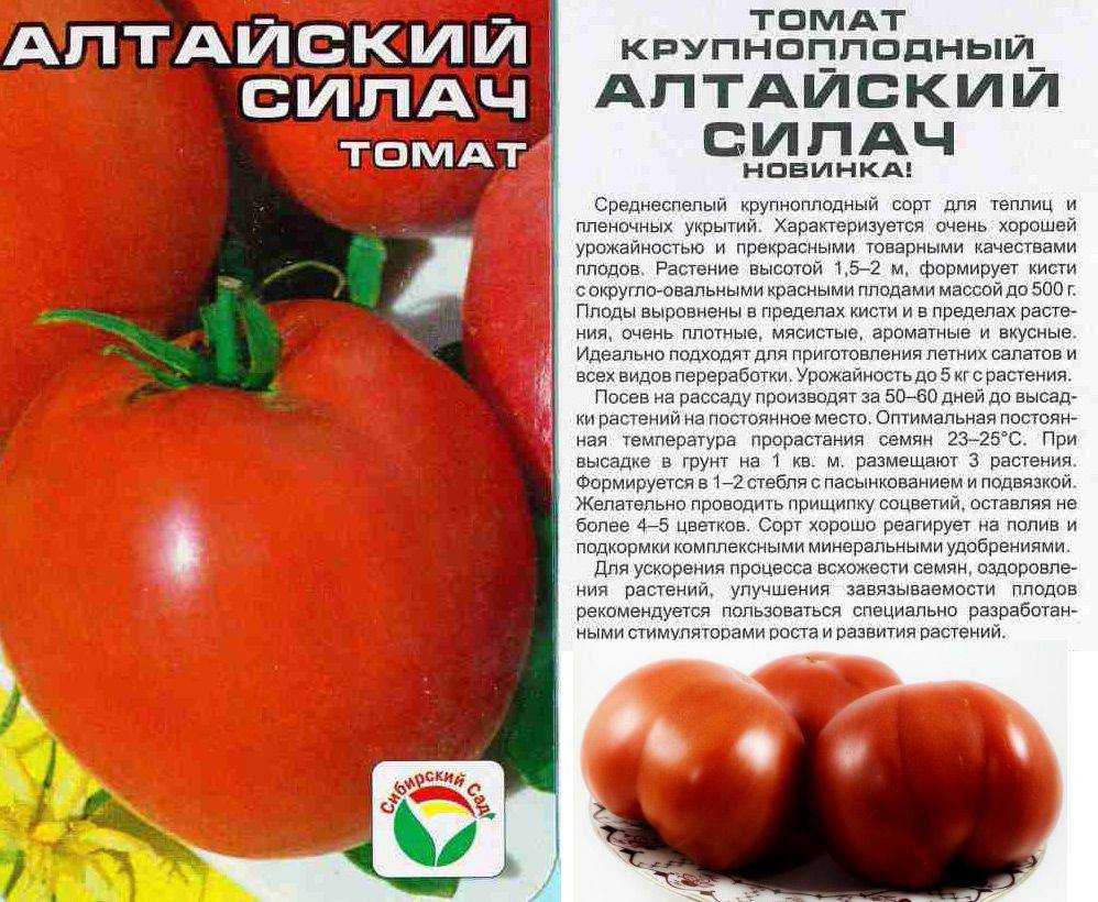 ᐉ томат таймыр характеристика и описание сорта - ogorod-u-doma.ru