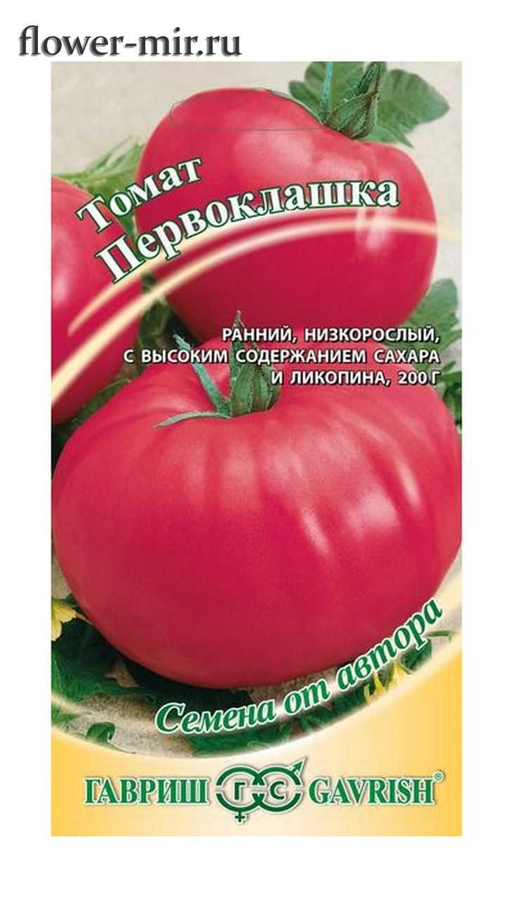 Томат первоклашка: характеристика и описание сорта, урожайность с фото