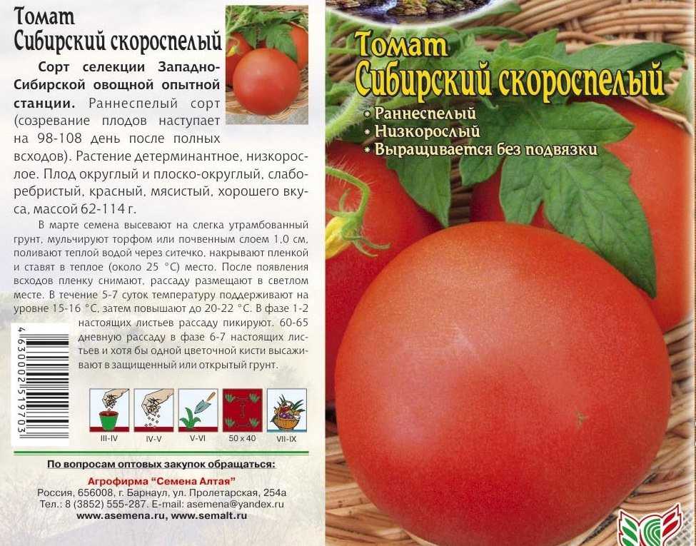 Как посадить и вырастить томат король королей - агро эксперт