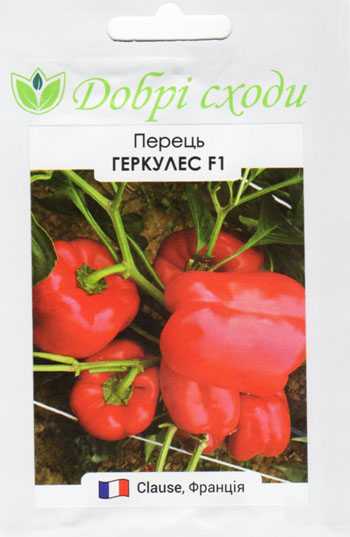 Особенности ухода за сладким (болгарским) перцем: как посадить, как выращивать, как сохранить и многое другое