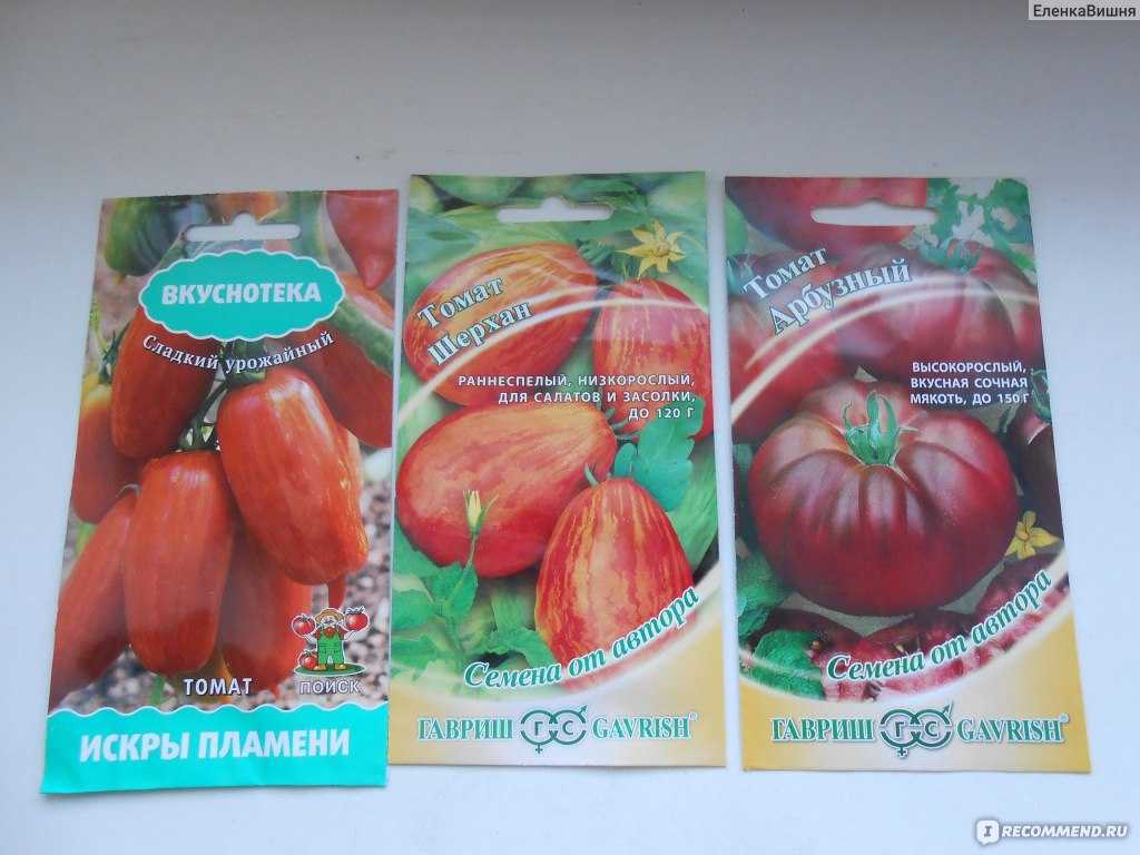 Томат искра пламени: характеристика и описание сорта, отзывы тех кто сажал помидоры об их урожайности, фото растения