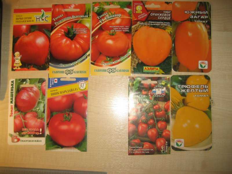 Загар томат урожайность