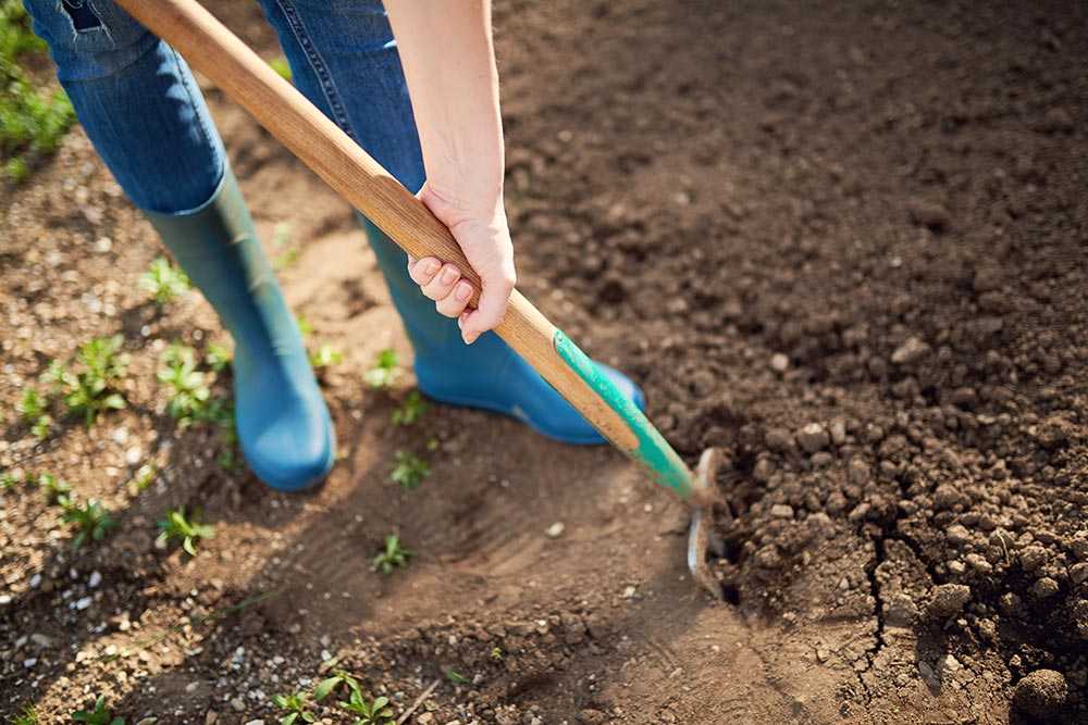 К чему снится копать землю лопатой в огороде - полное толкование
