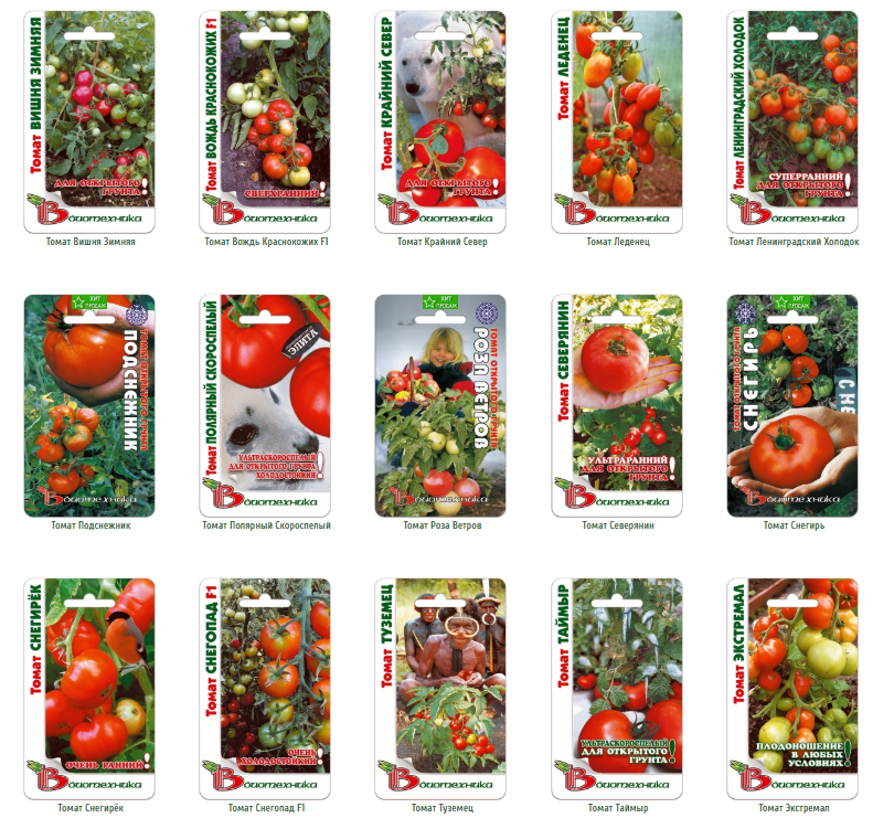 Морозостойкий сорт томата «подснежник» для выращивания в зонах неустойчивого земледелия: описание, характеристика, посев на рассаду, подкормка, урожайность, фото, видео и самые распространенные болезн