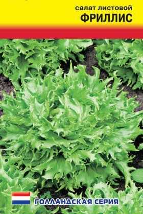 Микрозелень кресс-салат: польза и вред, описание вкуса, особенности выращивания дома