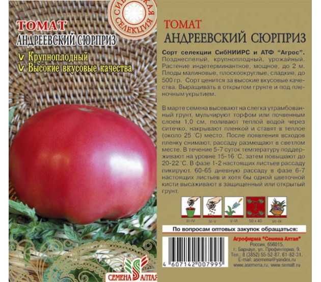 Комнатный сюрприз: как вырастить компактный томат дома | садоводство24