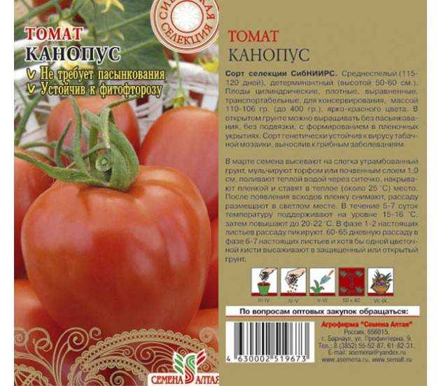 Томат канопус: описание и характеристика сорта, фото полученного урожая и отзывы огородников о нём