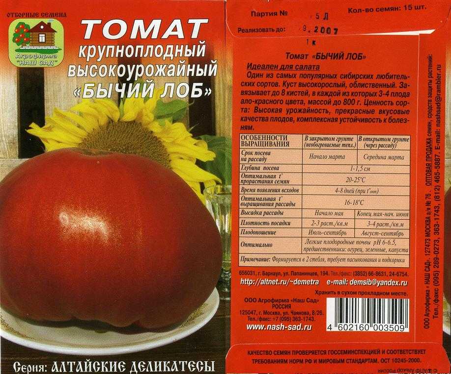 Сорт томата бычий лоб