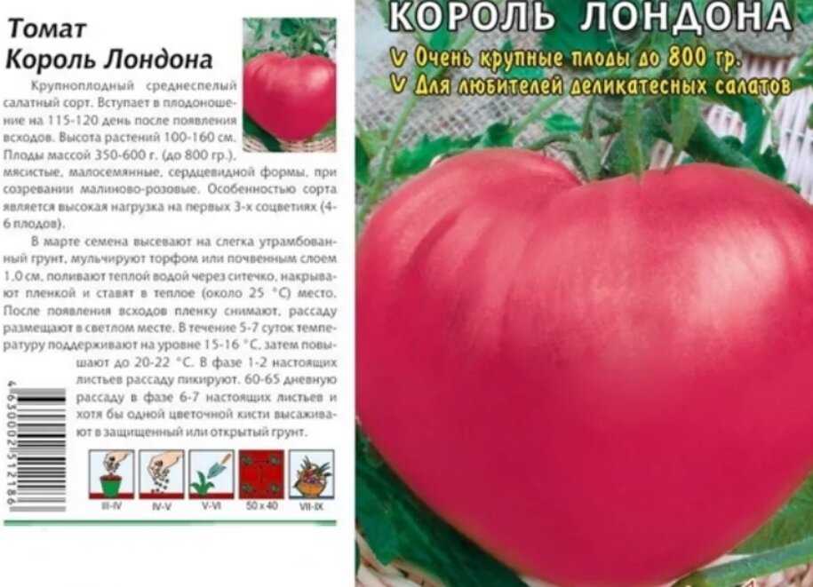 Сорт томата король королей - описание, посадка и выращивание