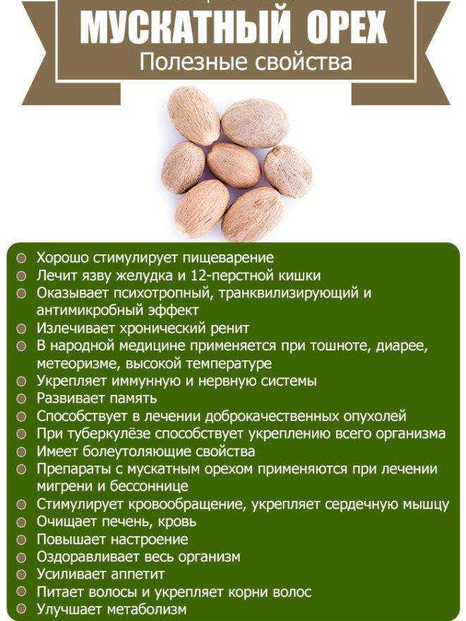 Грецкий орех – уникальный источник антиоксидантов и защитник сердца :: polismed.com