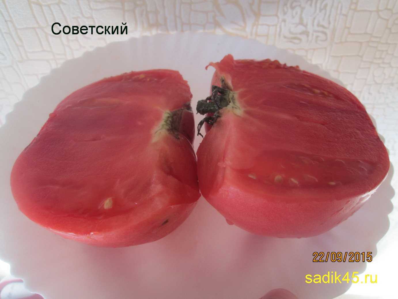 Сладкий, мясистый и неприхотливый в уходе томат «сенсей» — описание агротехники и советы опытных дачников