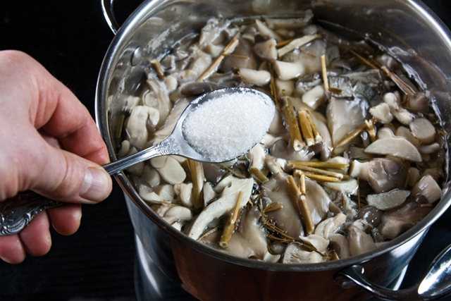 Нужно ли мыть вешенки перед готовкой. как чистить свежие грибы вешенки из магазина или леса