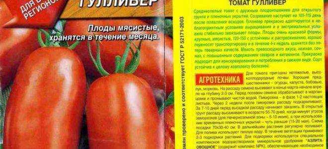 Томат гулливер: отзывы, фото, урожайность, описание и характеристика | tomatland.ru