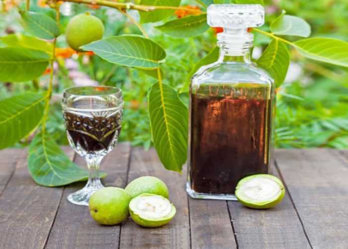 Настойка грецкого ореха: применение, польза и вред, рецепты на водке и самогоне