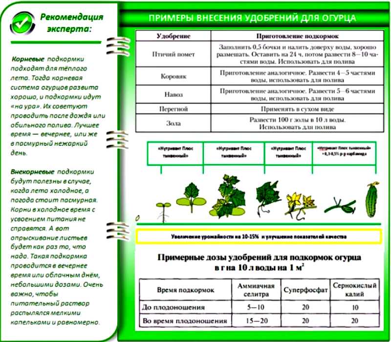 Азофоска: состав, применение удобрения на огороде и в саду, инструкция