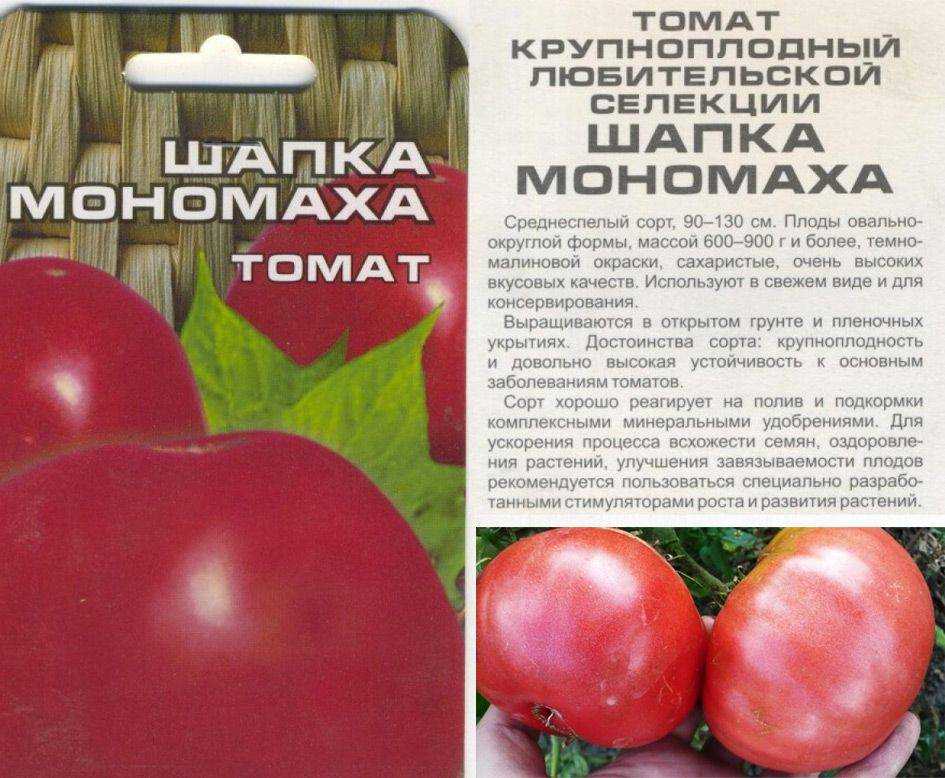 Русская душа сорта томатов