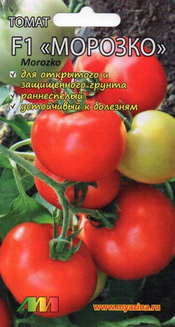 Сорт томатов «морозко»: наш отзыв, фото, описание сорта