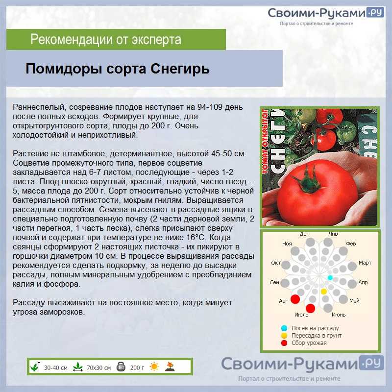 Томат «снегирь»: описание сорта, характеристика урожайности и агротехника посадки, уход и выращивание помидоров (фото)