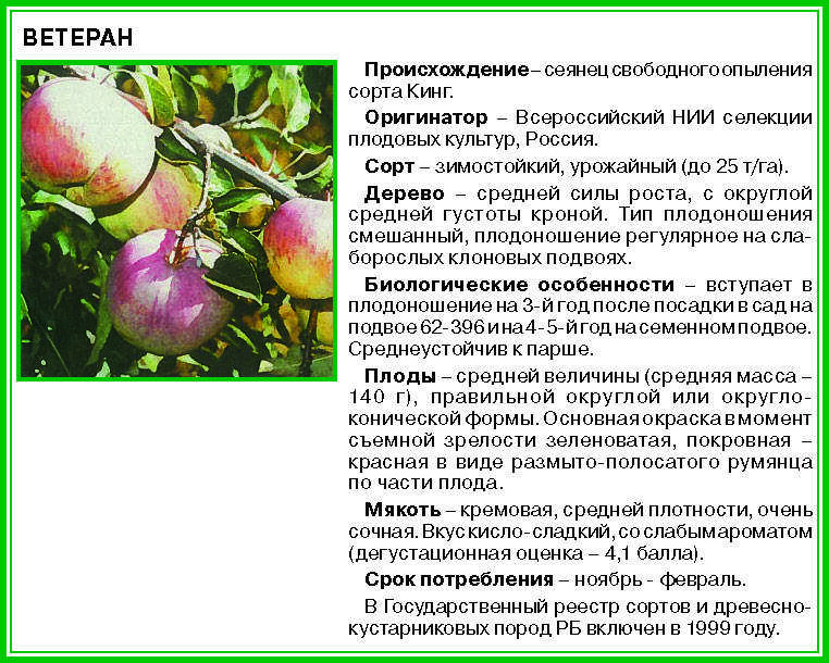 Яблоня старкримсон: характеристика и описание, особенности выращивания и ухода за деревом, фото, отзывы