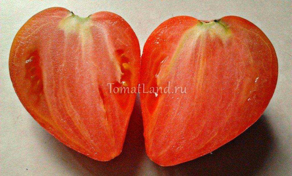 Семена:томат чудо уолфорда /wolford wonder/