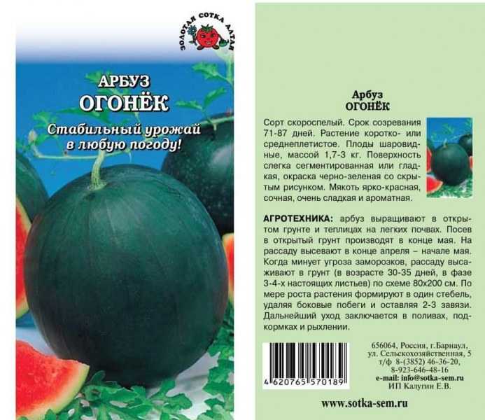 Характеристики и описание арбуза сорта огонек, выращивание в открытом грунте