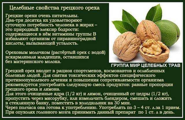Побочный продукт — жмых грецкого ореха. описание, полезные свойства и вред, применение и хранение