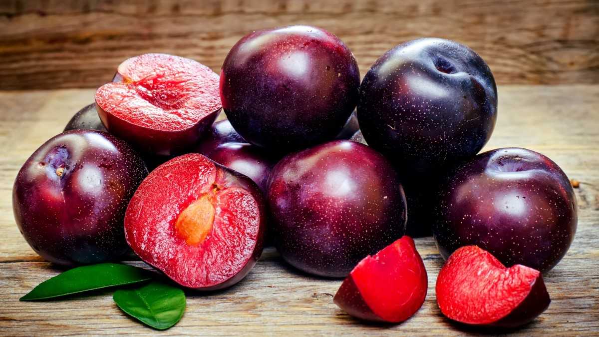 Раннеспелые томаты для соков, салатов и консервации «фатима» — характеристика и описание сорта