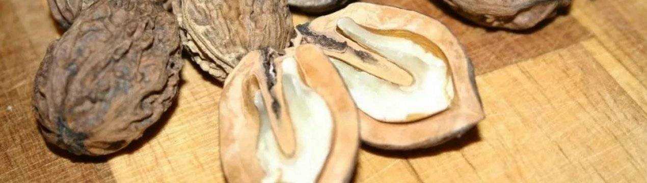Маньчжурский орех: польза и противопоказания, выращивание