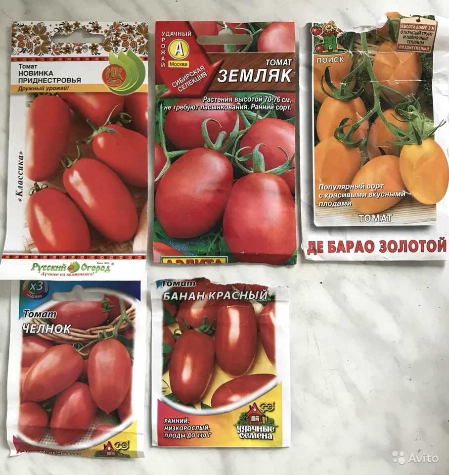 Подарок от сибирских селекционеров — томат «земляк»: описание сорта и правила его выращивания