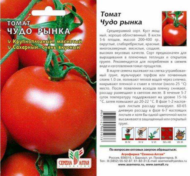 Томат чудо лентяя: отзывы тех кто сажал помидоры об их урожайности, характеристика и описание сорта, фото куста
