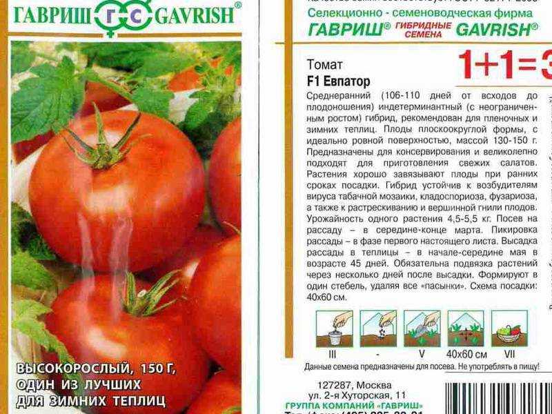 Томат гаспачо: характеристика и описание сорта, видео и фото куста, отзывы тех кто сажал помидоры об их урожайности