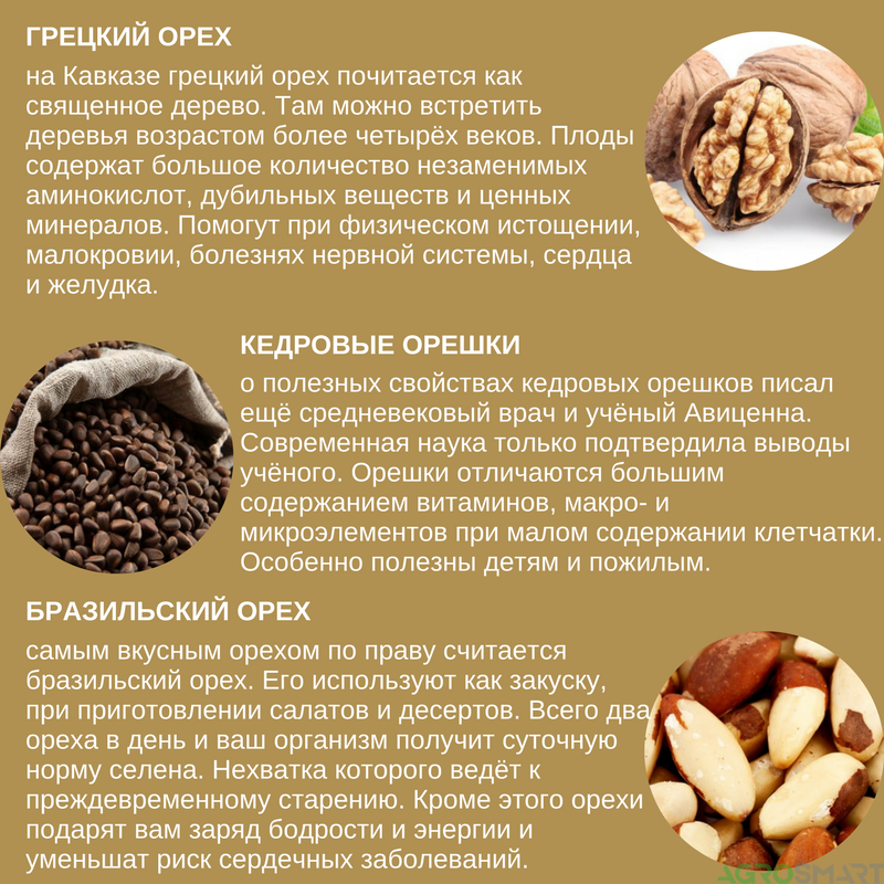 Жмых грецкого ореха – чем полезен, где и как применяется, какие противопоказания Рецепты, условия и сроки хранения, отзывы применяющих продукт