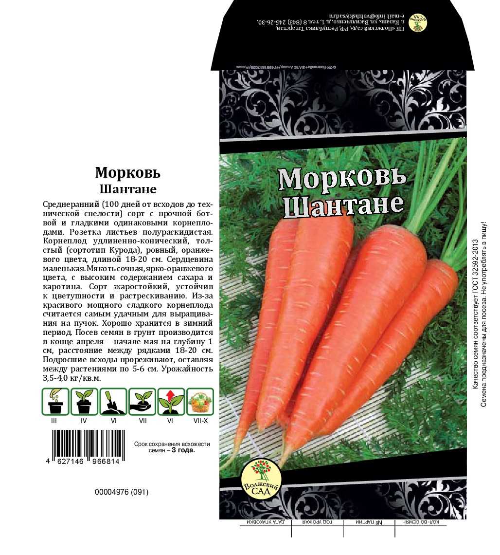 Морковь самсон. описание сорта, фото, отзывы, характеристика