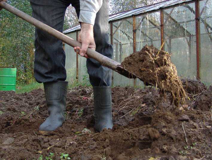 К чему снится копать землю лопатой в огороде 💤: 41 толкование сна ❗ по различным сонникам, перекапывать почву для посадки или видеть как копают грядки