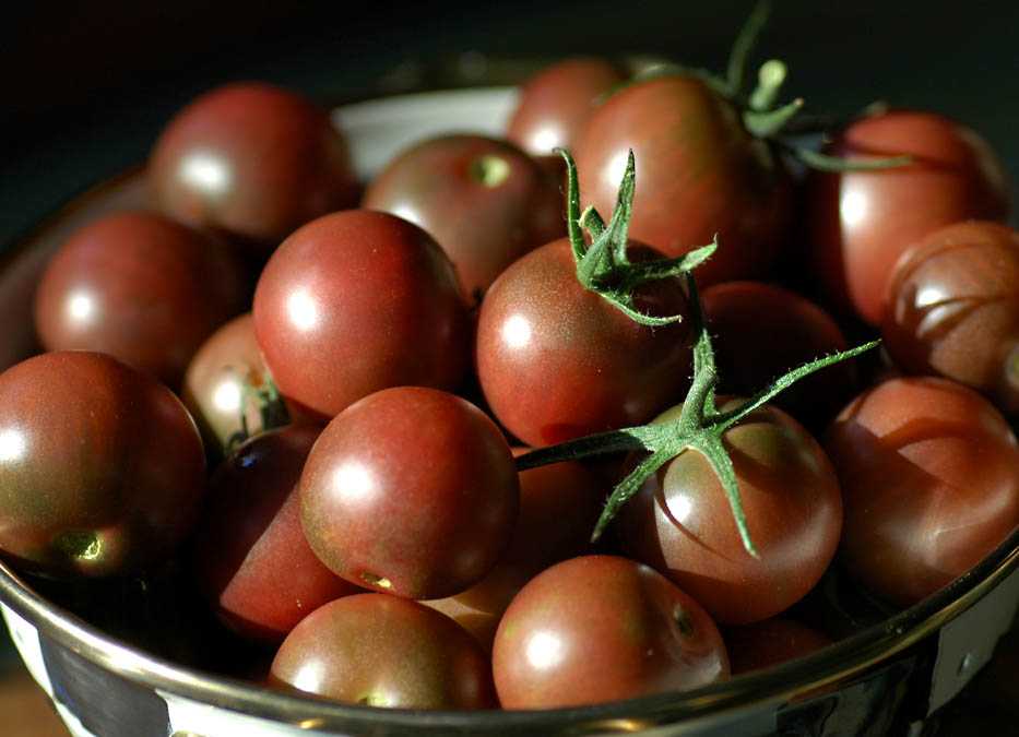 Описание необычного сорта томата полосатый шоколад и выращивание рассадным методом