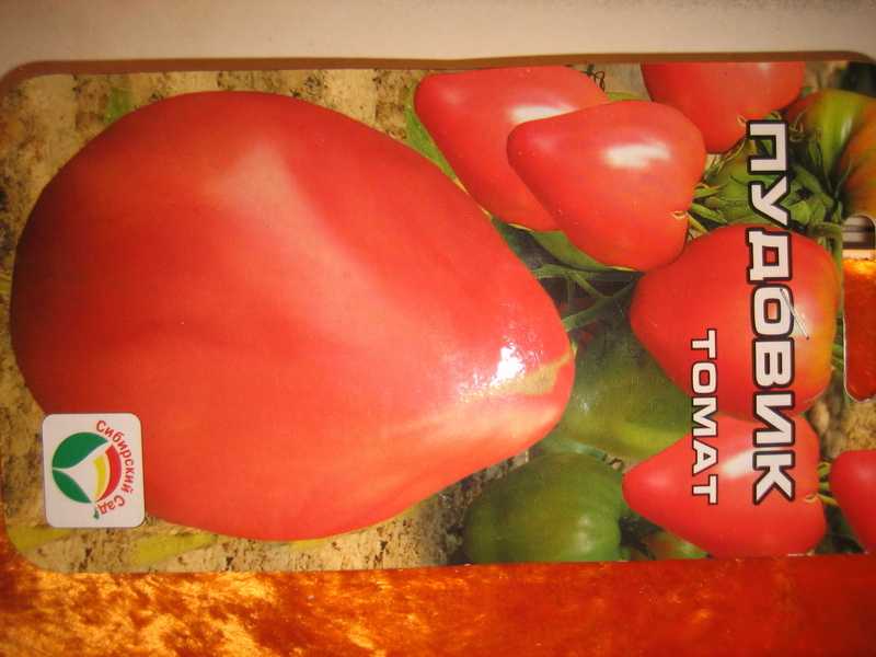 Описание и характеристика сорта помидоров севрюга(пудовик)