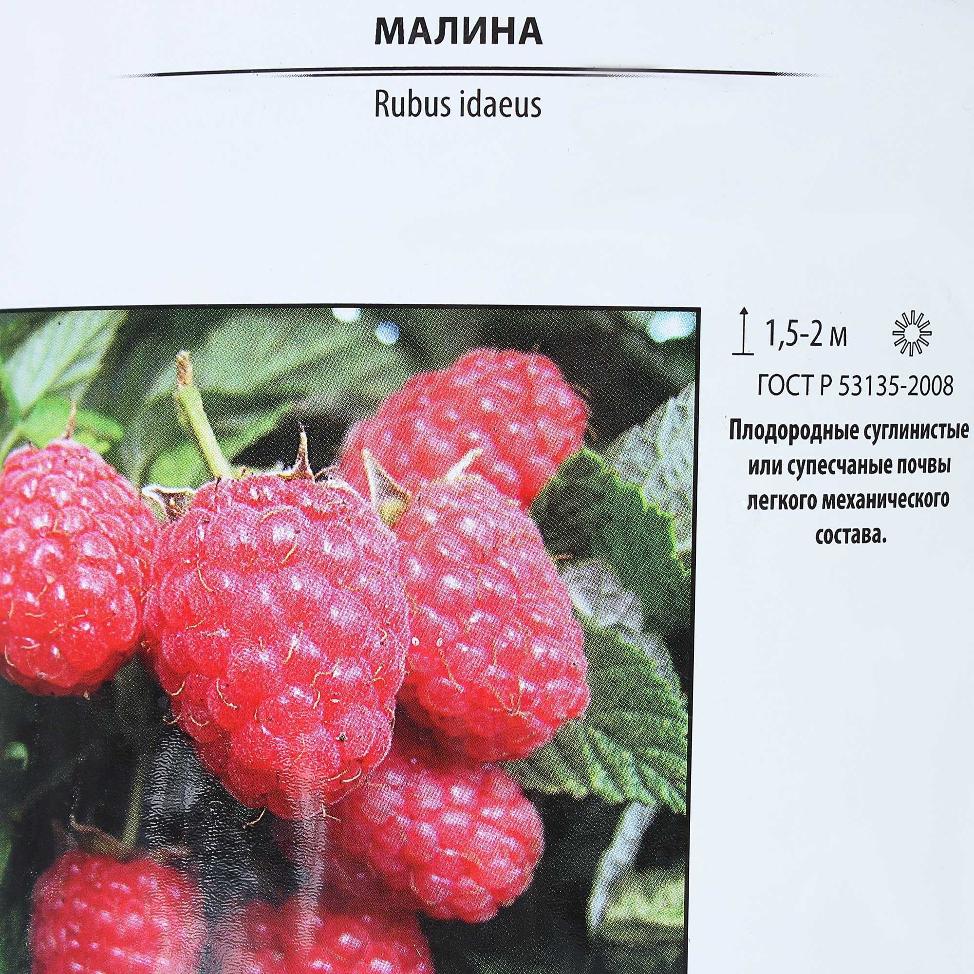 Малина Журавлик: описание сорта, фото, отзывы садоводов