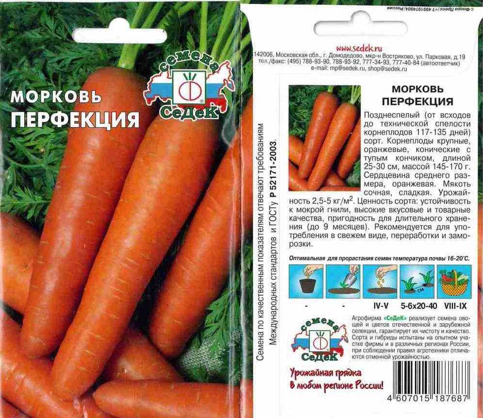Семена моркови самсон – гарантия урожая при любых условиях!