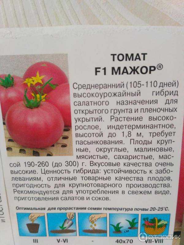 Хрупкие вытянутые плоды — томат ниагара: подробное описание сорта, советы дачников