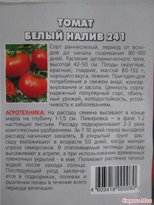 Как правильно выращивать томат белый налив